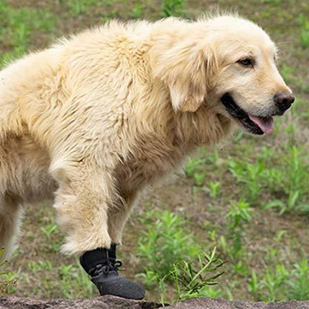 Waterproof Dog Shoes – Non-Slip Rubber Sole, Breathable & 6 Sizes for Hiking