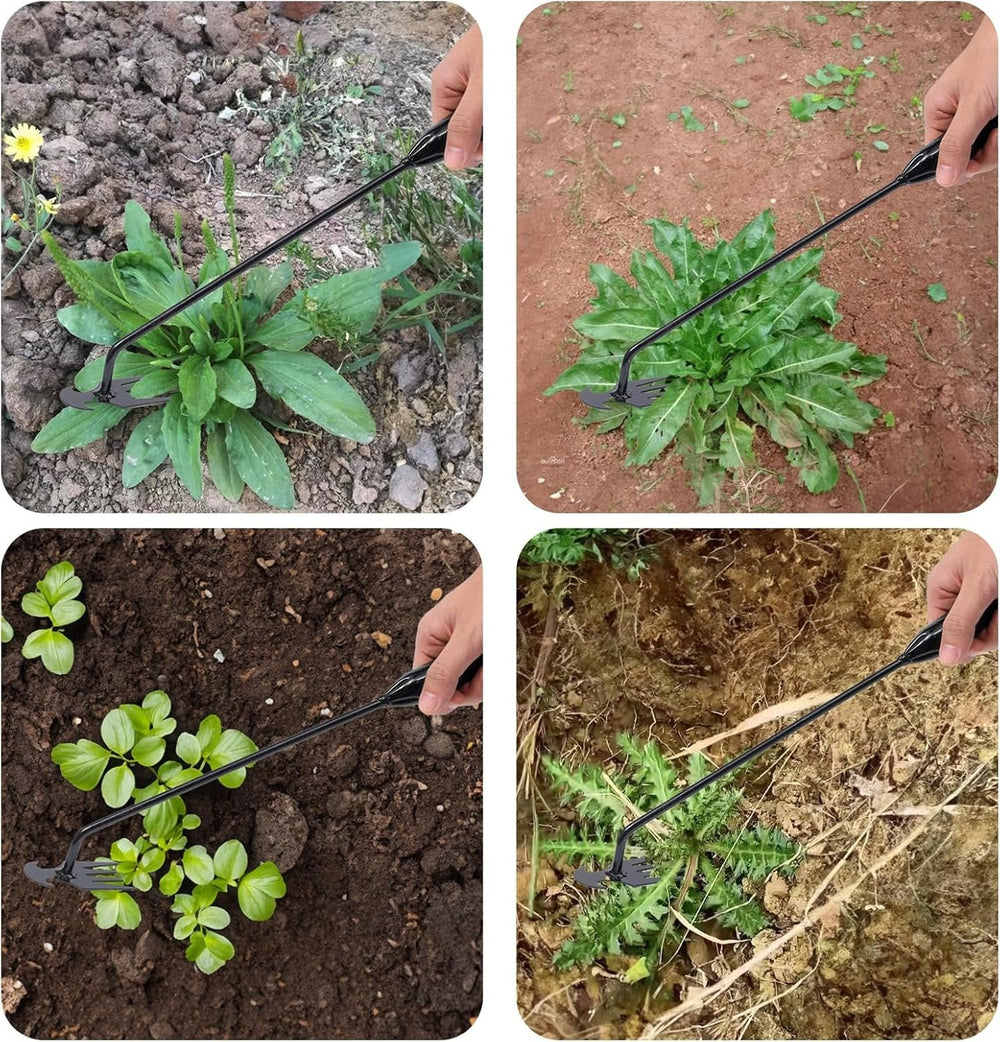 Enhanced Product Title: **Manganstahl Unkrautstecher mit 4-Zinken – Robuste Unkrautentfernung für Gartenpflege** 

This title includes relevant keywords and highlights the product's material and functionality, making it more appealing for Google Shopping