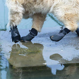 Waterproof Dog Shoes – Non-Slip Rubber Sole, Breathable & 6 Sizes for Hiking