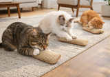 Sisal Catnip Cat Toy – Natural Fiber, Teeth Cleaning & Bite-Resistant