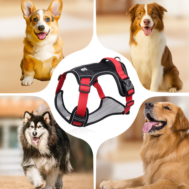 No-Pull Dog Harness Set – LED Collar, Padded Fit & Matching Leash