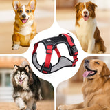 No-Pull Dog Harness Set – LED Collar, Padded Fit & Matching Leash