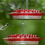 Hummingbird Feeder Nectar Hanging Garden Feeding Station