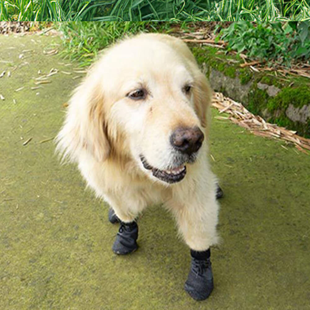 Waterproof Dog Shoes – Non-Slip Rubber Sole, Breathable & 6 Sizes for Hiking