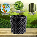 Root Guide System – Weatherproof Black Plastic, 20×20cm & Tool-Free Install