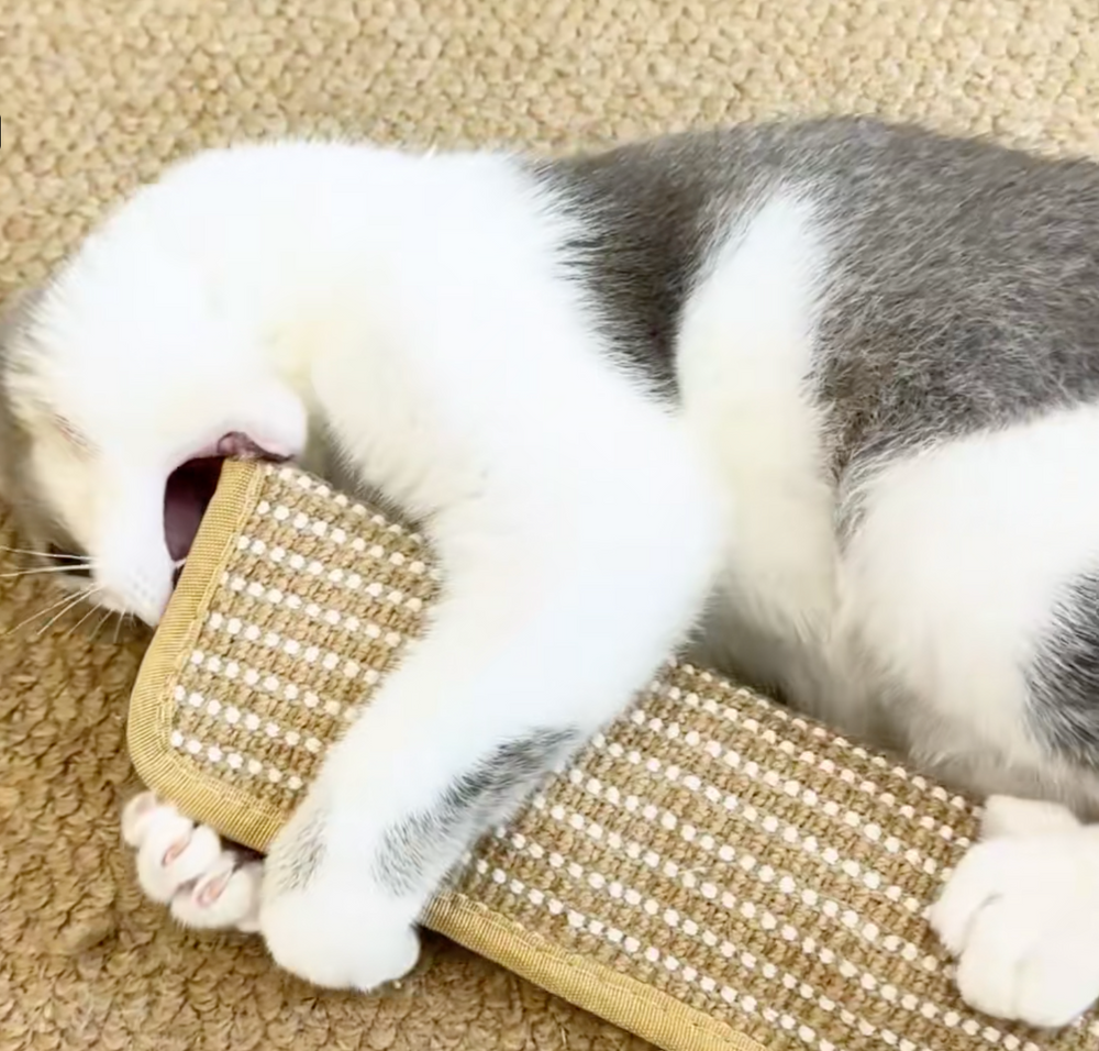 Sisal Catnip Cat Toy – Natural Fiber, Teeth Cleaning & Bite-Resistant