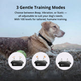 Kalsten | 1000m Waterproof Dog Training Collar | Rechargeable, Remote Control & Adjustable for Small, Medium, and Large Dogs