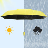 Compact Travel Umbrella – 360° Rotating Handle, Windproof 8-Rib Steel Frame & Automatic Open