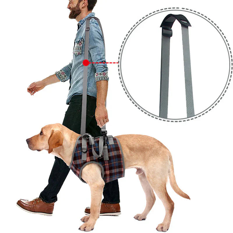 Orthopedic Dog Support Harness – Front & Rear Leg Options, Adjustable Polyester, 4 Sizes