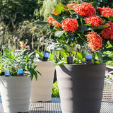 360° Drip Irrigation Set – 50 Adjustable Nozzles, Ground Spikes & Quick Connectors
