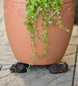 Kalsten | Potty Feet Plant Pot Feet