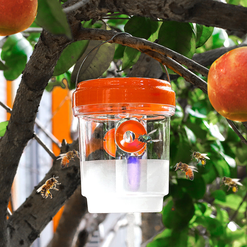 Solar Wasp Trap – LED Attractant, Dual-Entry & Reusable 2-Pack