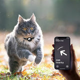 Milo – Cat Collar with Safety Buckle