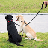 Double Dog Leash – 360° Swivel, Shock-Absorbing Bungee & Durable Nylon for Two Dogs
