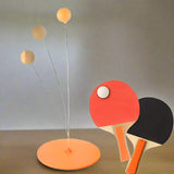 Table Tennis Trainer Set – Flexible Return Arm, Suction Cup Base & 2 Wooden Paddles