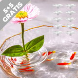 Optimized Product Title: **Schwimmender Blumenhalter – 10 Stück, Stabilisiert Blumenstiele Mühelos Aufrecht für Teich & Garten** 

This title includes relevant keywords and phrases that can improve visibility in Google Shopping searches while clearly conv