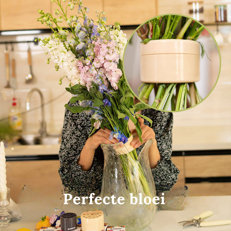 Optimized Product Title: "Blumenstielhalter für Vasen – 2er-Set Perforierter Strauß-Organizer für Perfekte Blumenarrangements" 

This title includes relevant keywords while maintaining clarity and appeal for potential buyers.
