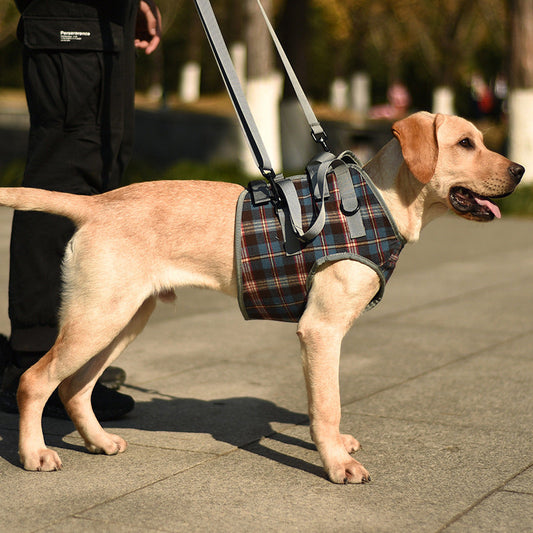 Orthopedic Dog Support Harness – Front & Rear Leg Options, Adjustable Polyester, 4 Sizes