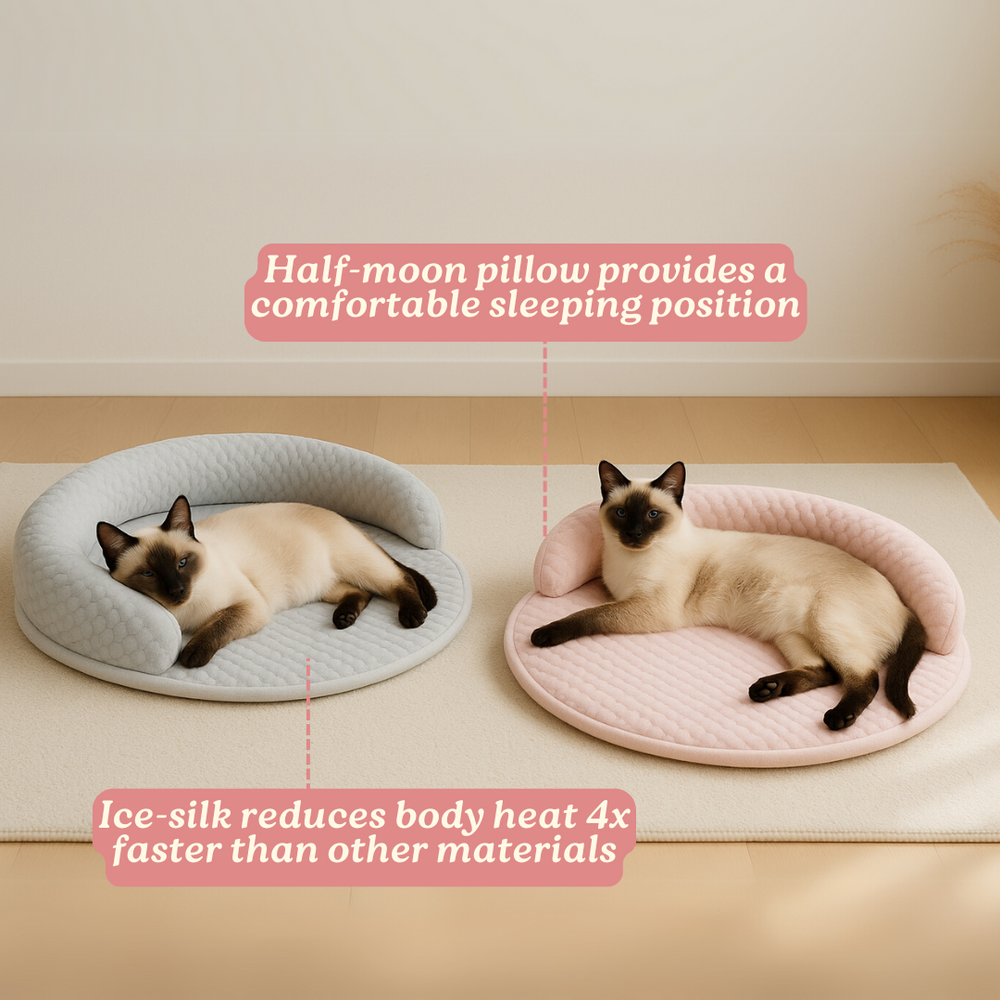 Orthopedic Cooling Cat Bed – Ice-Silk Surface, Foam Base & Raised Rim