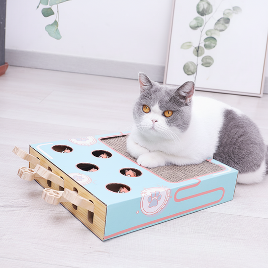 Cat Scratcher – Puzzle Box Design, Interactive Play & Scratching Board