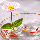 Floating Flower Stem Holders – Transparent Plastic, Small & Large Sizes, 30-Pack