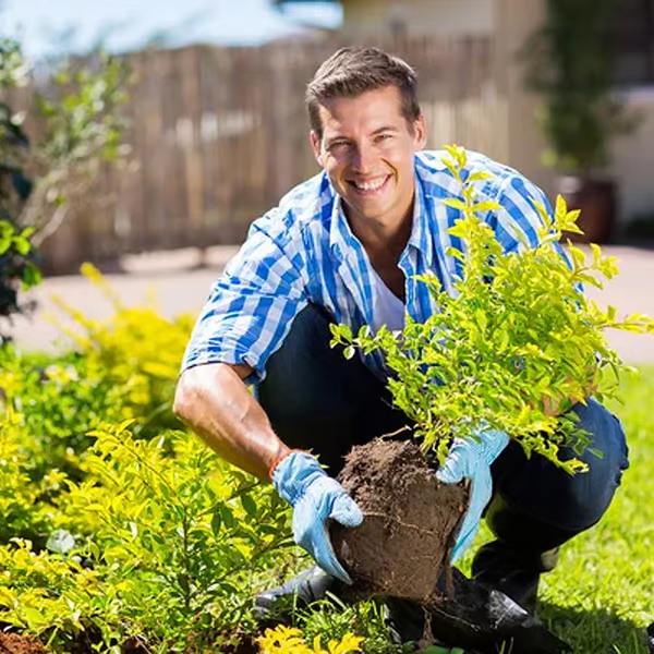 Optimized Product Title: "Bodenaktivator-Pulver – Kalium-Mineral-Komplex für alle Bodenarten | Optimale Bodenverbesserung & Nährstoffversorgung" 

This title includes relevant keywords while highlighting the product's benefits, making it more appealing fo