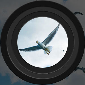 8x35 Binoculars – Waterproof, 35mm Lens & Compact for Bird Watching