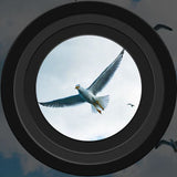 8x35 Binoculars – Waterproof, 35mm Lens & Compact for Bird Watching