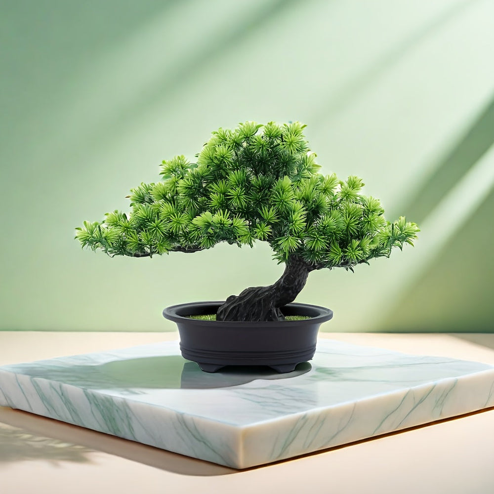 "Immergrüner Bonsai – Pflegeleichter, Immergrüner Miniaturbaum für Innen- und Außenbereich" 

This enhanced title includes keywords that potential customers might search for, such as "pflegeleicht" (easy care), "miniaturbaum" (miniature tree), and specifi