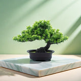 "Immergrüner Bonsai – Pflegeleichter, Immergrüner Miniaturbaum für Innen- und Außenbereich" 

This enhanced title includes keywords that potential customers might search for, such as "pflegeleicht" (easy care), "miniaturbaum" (miniature tree), and specifi