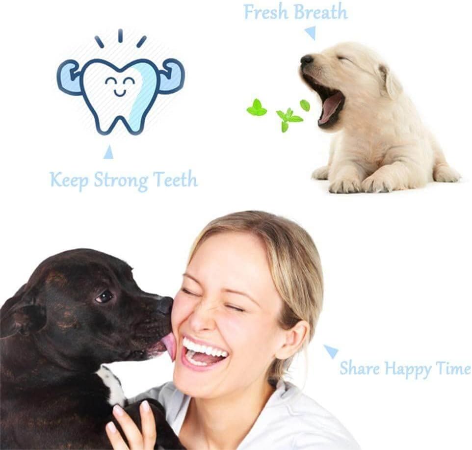 2-Piece Triangular Pet Toothbrush Set - Effective Tartar Control for Healthy Teeth & Gums
