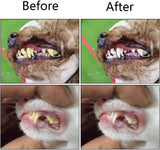 2-Piece Triangular Pet Toothbrush Set - Effective Tartar Control for Healthy Teeth & Gums