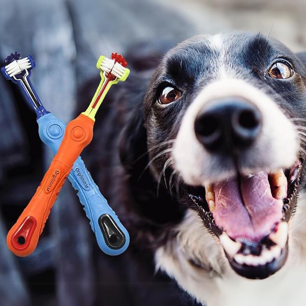 2-Piece Triangular Pet Toothbrush Set - Effective Tartar Control for Healthy Teeth & Gums