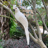 Lebensechter Papagei Gartenornament – Dekorative Vogelfigur mit Realistischen Federn für Garten & Terrasse