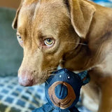 Dog Chew Toy for Aggressive Chewers – Triple-Reinforced, Teeth-Cleaning & Non-Toxic
