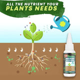 Amino Acid Plant Fertilizer – 30ml Concentrate, Growth Booster for Balcony Plants