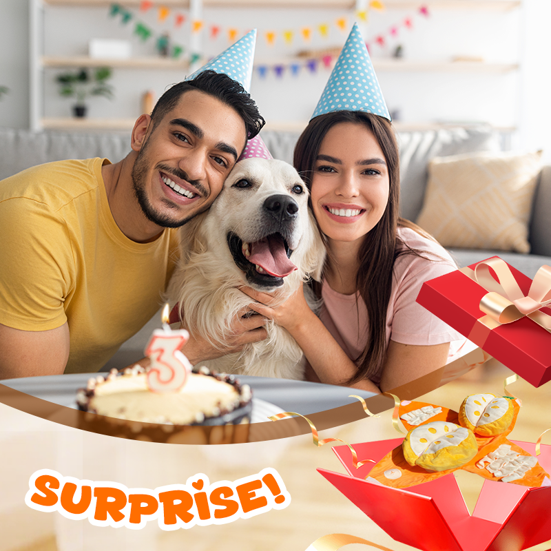 Optimized Product Title: Interaktives Plüsch-Hundespielzeug mit Quietscher – Versteck-Puzzle für Leckerchen | Fördert Spielspaß & geistige Stimulation für Hunde

This enhanced title includes keywords that may improve search visibility while clearly descri