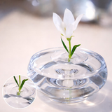 Floating Flower Stem Holders – Transparent Plastic, Small & Large Sizes, 30-Pack
