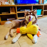 Squeaky Duck Dog Toy – Plush 38×45cm, Durable Handmade & Non-Toxic