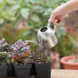 Kalsten | Stainless Steel Watering Can with Flexible Neck | Modern Design | Perfect Watering | Rustproof