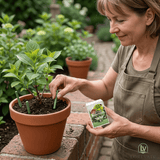 Houseplant Fertilizer Sticks – 18-Pack Slow-Release NPK, Water-Activated for Potted Plants