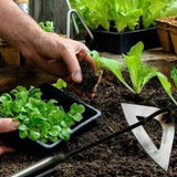 Optimized Product Title: "Effizienter Garten-Unkrautstecher mit Hohlklinge – Müheloses Entfernen von Unkraut für ein Sauberes Ergebnis" 

This title includes relevant keywords while emphasizing the product's efficiency and ease of use, making it more appe