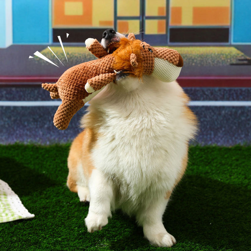 Maximus – Extra-Strong Dog Toy