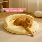 Orthopedic Cooling Cat Bed – Ice-Silk Surface, Foam Base & Raised Rim