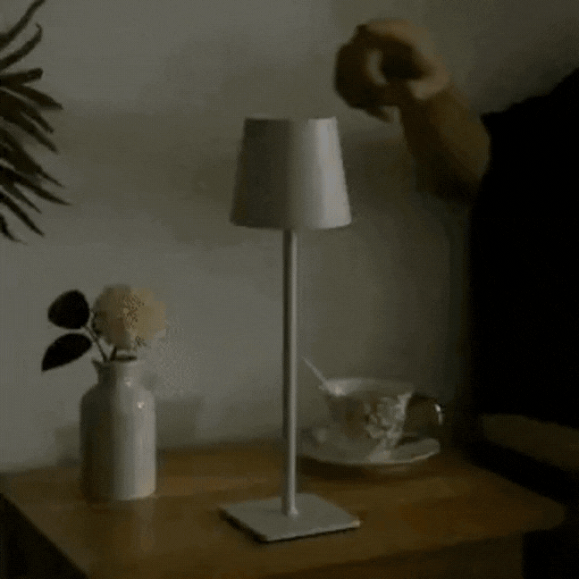 Cordless LED Table Lamp – Touch Dimmable, Warm White 3000K & USB Rechargeable