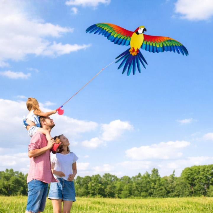 Kids Kite with Fishing-Rod Handle – 50 m Line, Fiberglass Frame & Easy Control