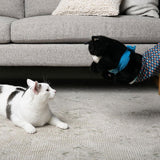 Enhanced Product Title: "Katzenhandschuh mit Plüschpuppe – Sicheres Spielzeug für Kratzfreies Spielen mit Ihrer Katze" 

This title is optimized for clarity and includes relevant keywords that potential buyers might search for, while also highlighting the