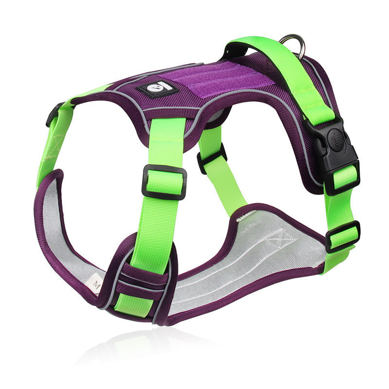 No-Pull Dog Harness Set – LED Collar, Padded Fit & Matching Leash