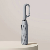 BowLift | Reinforced Contemporary Compact Umbrella