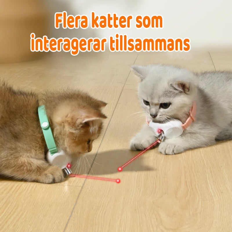 Cat Laser Collar – Motion-Activated, USB Rechargeable & 41° Adjustable Angle